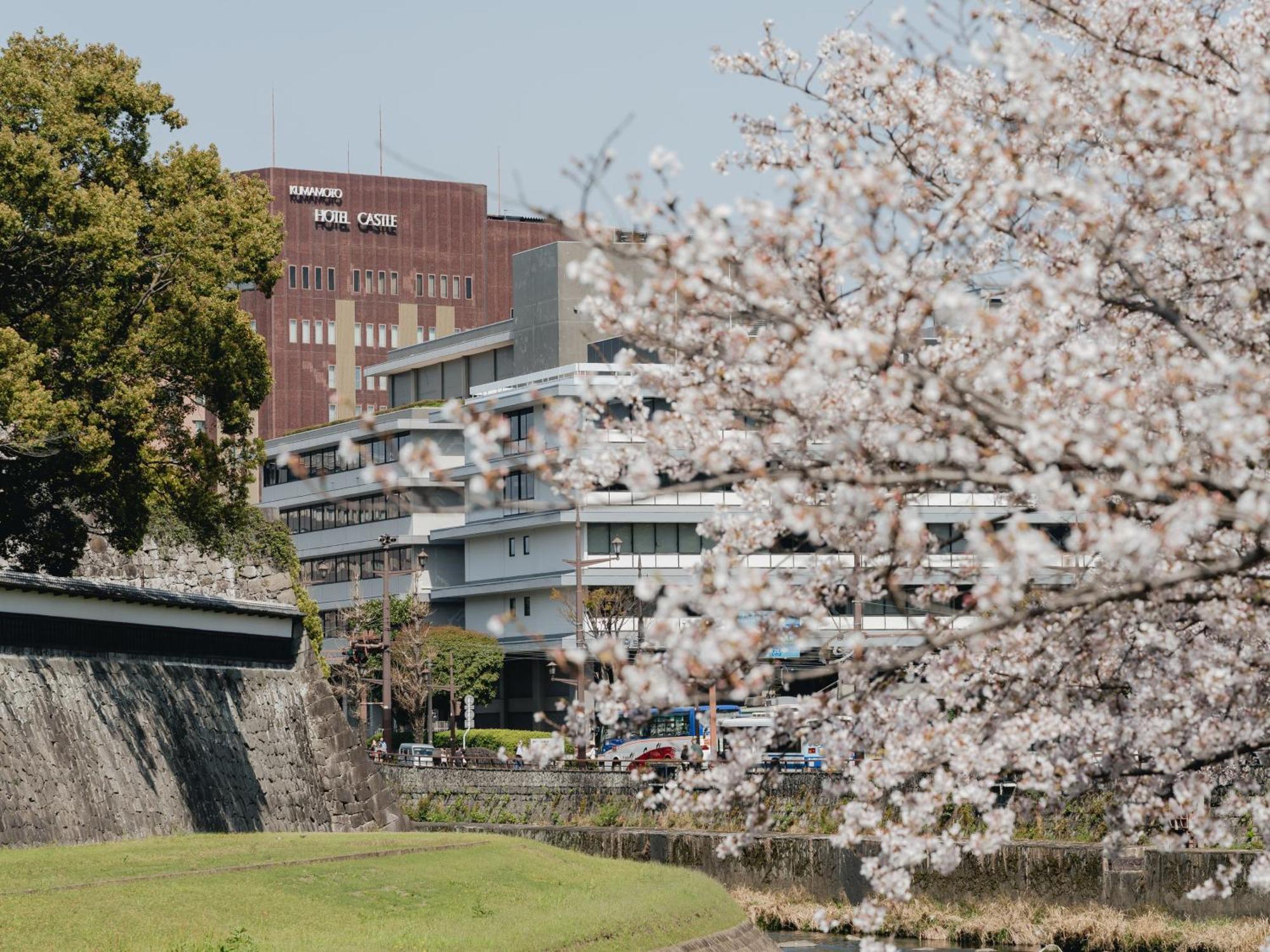 Kumamoto Hotel Castle 4*